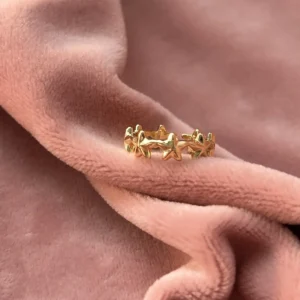 Фаланговое кольцо Млечный путь